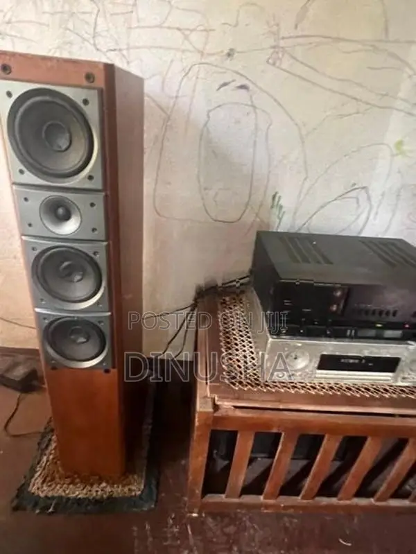Pioneer Speaker