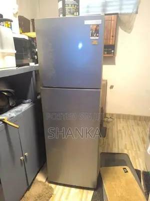 Singer Eco Fridge
