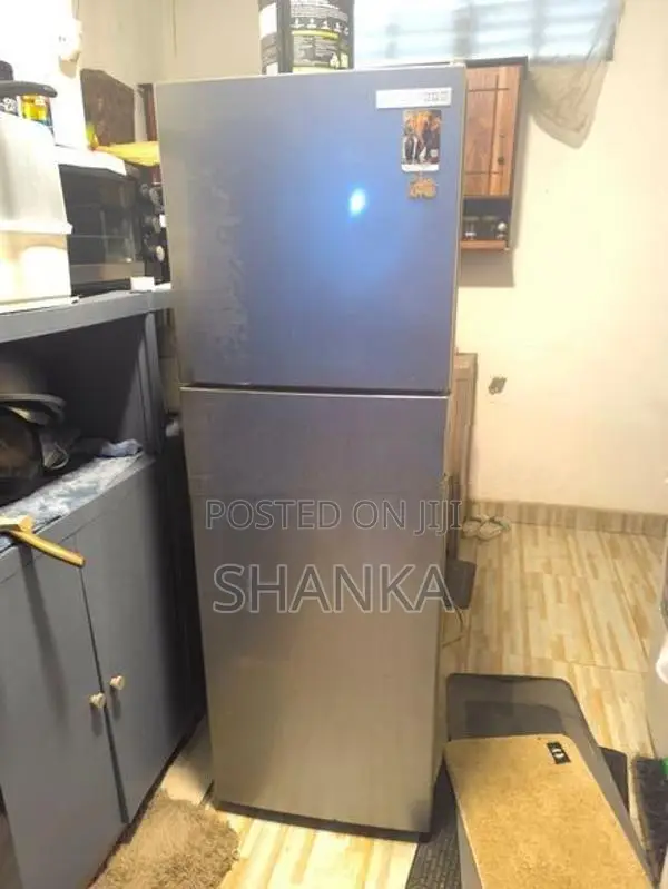 Singer Eco Fridge