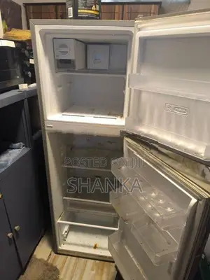 Singer Eco Fridge