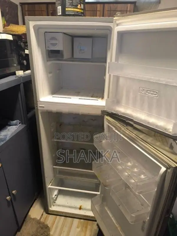 Singer Eco Fridge