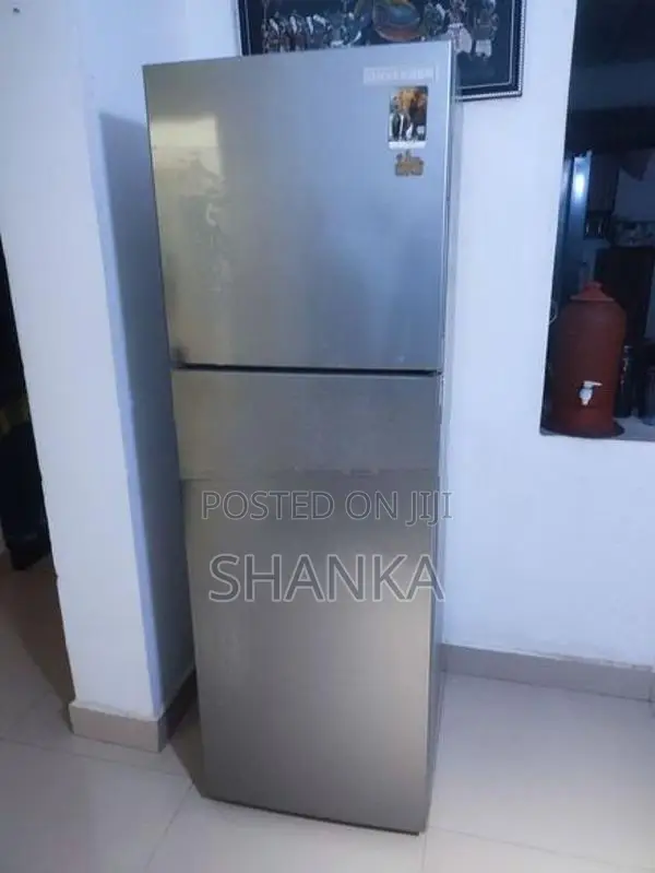 Singer Eco Fridge