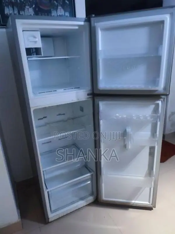 Singer Eco Fridge
