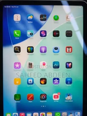 iPad AIR M4 256/12 RAM
