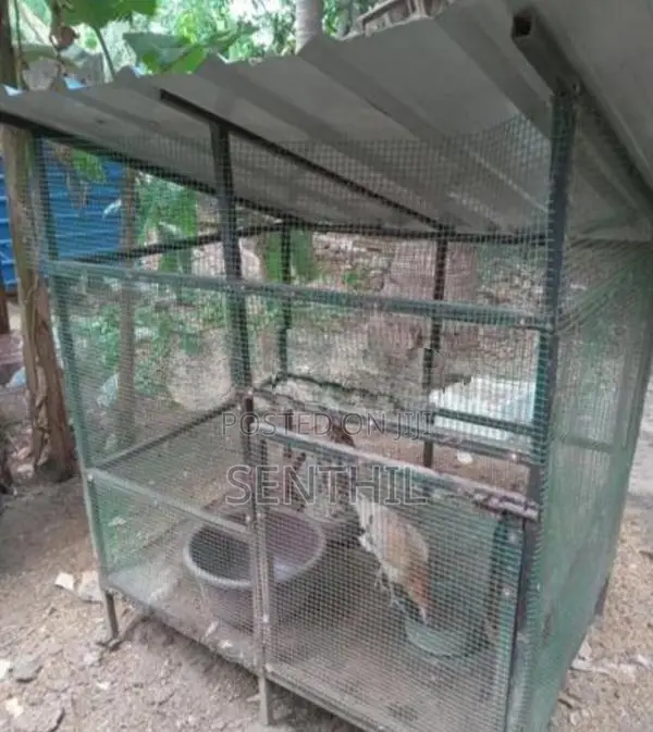 Hen Cage