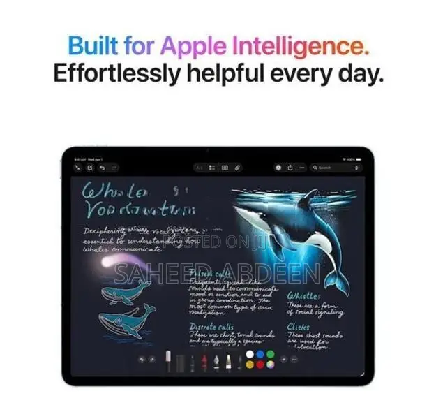 iPad AIR M4 256/12 RAM