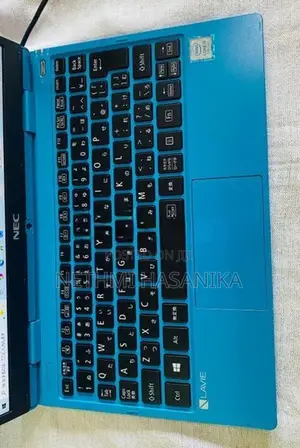 NEC Lavie NM550