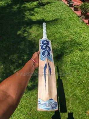 Cricket Bat