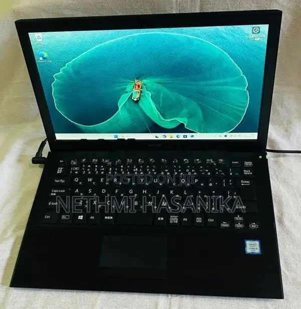 Sony VAIO VJS131C11N