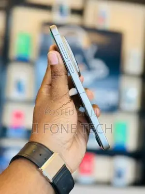 Vivo X300 Pro 5G 512GB (Used)