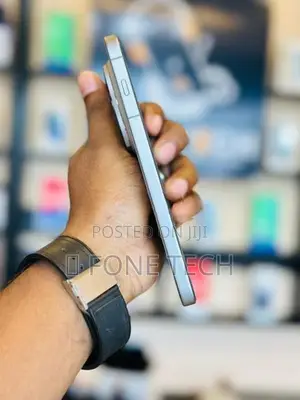 Vivo X300 Pro 5G 512GB (Used)