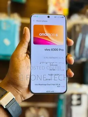Vivo X300 Pro 5G 512GB (Used)