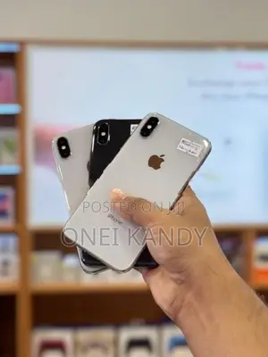 Apple iPhone X 256GB (Used)