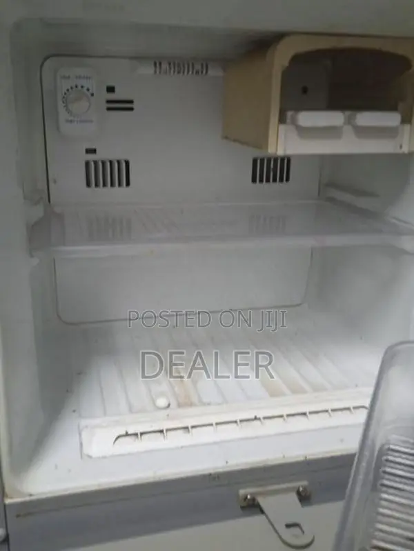 Singer Fridge