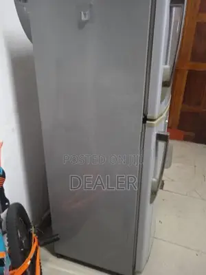 Singer Fridge