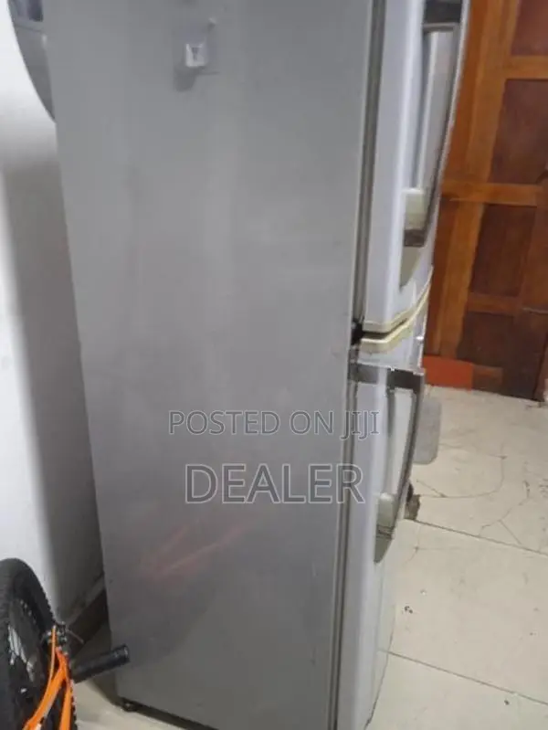 Singer Fridge