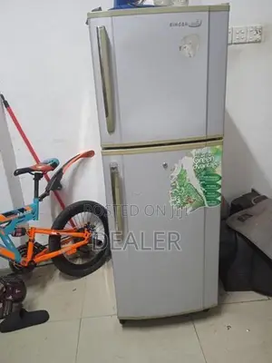 Singer Fridge