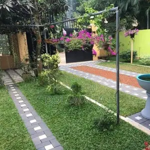 Malaysian grass