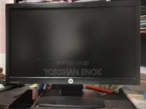 20" Wide Monitor