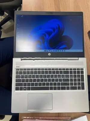 HP Probook 455G7 AMD Ryzen 5