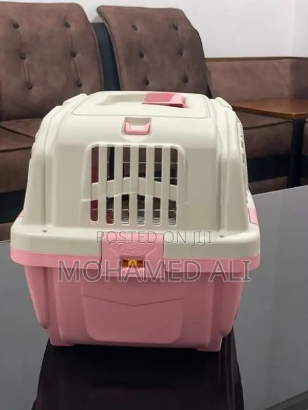 cat carrier