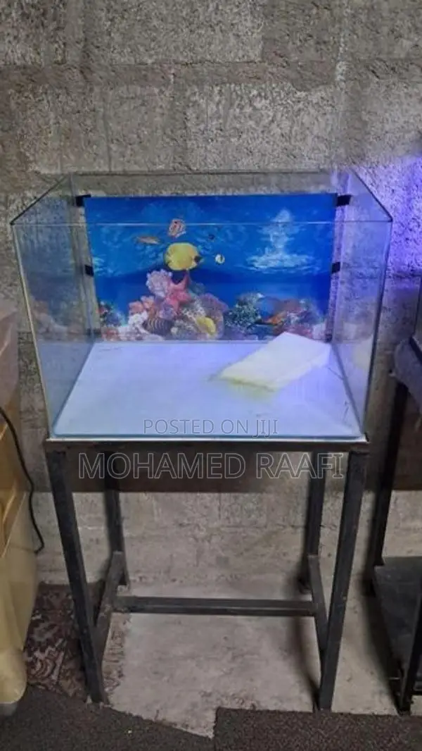 Fish Tank (Front Curved)