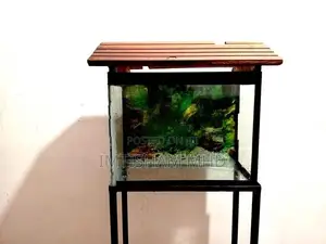 Fish Tank