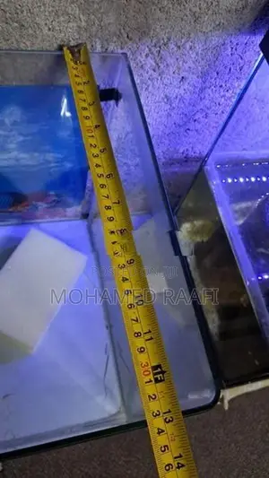 Fish Tank (Front Curved)