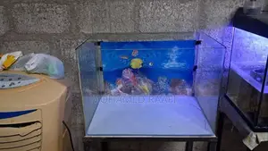Fish Tank (Front Curved)