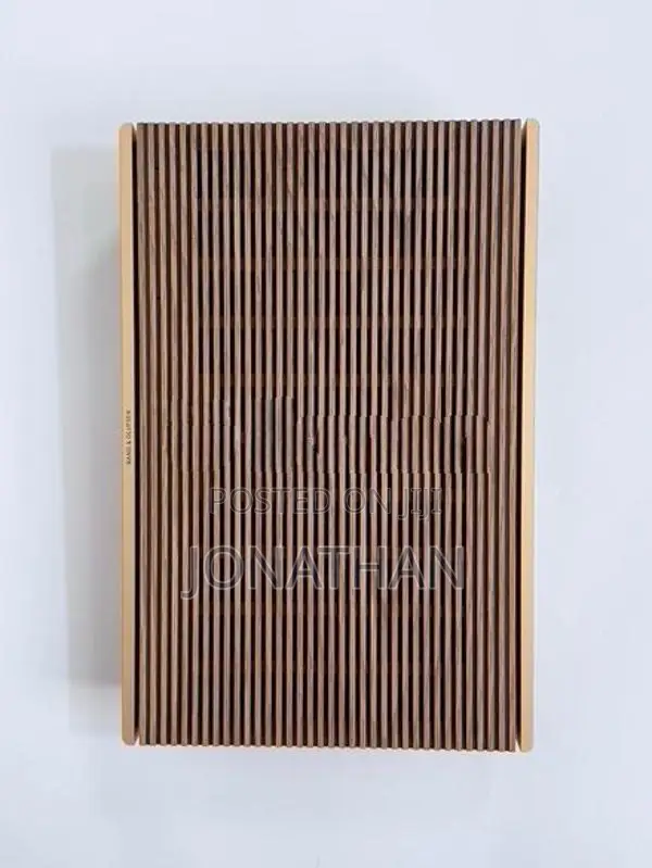 B&O Beosound Level