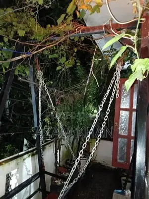 Garden Swing