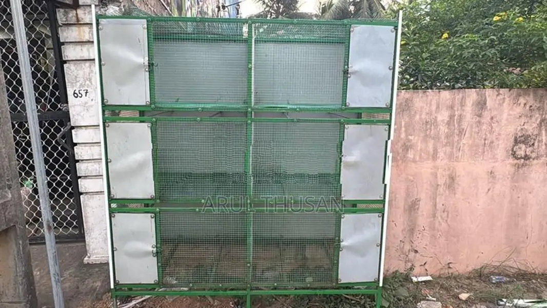 Birds Cages
