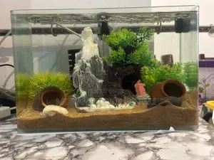 Fish Tank