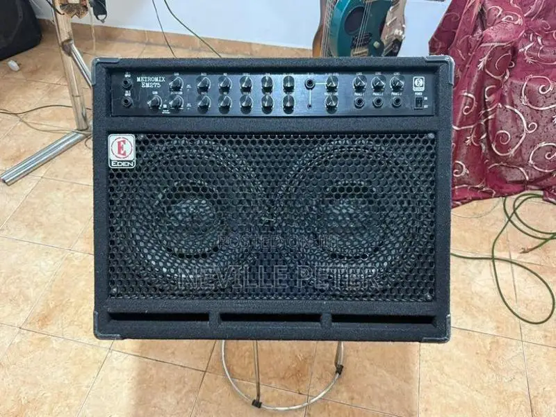 Eden Back Amplifier