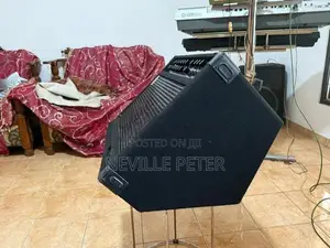 Eden Back Amplifier