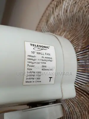 Telesonic 16" Wall Fan