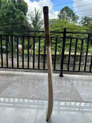 Softball cricket bat