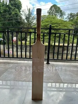 Softball cricket bat
