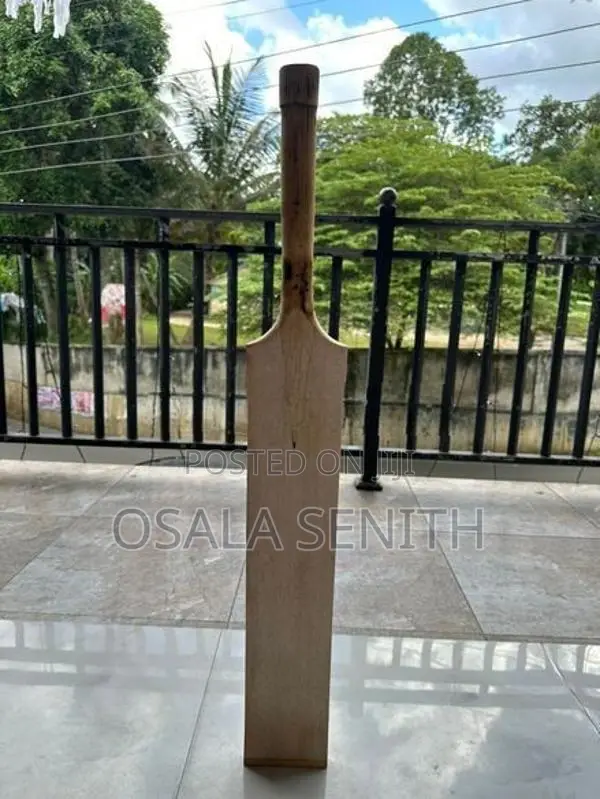 Softball cricket bat