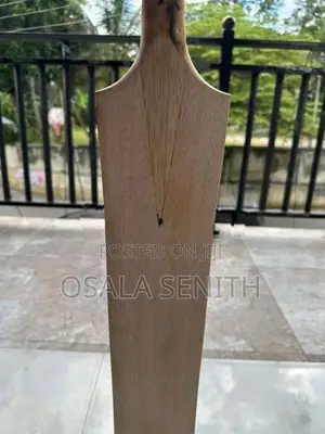 Softball cricket bat