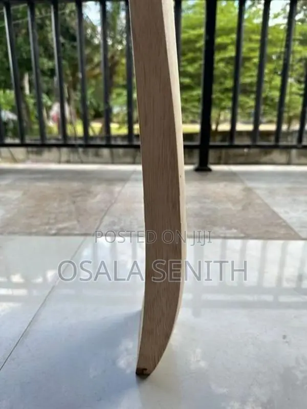 Softball cricket bat