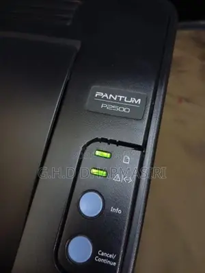 Printer Pantium P2500 laser