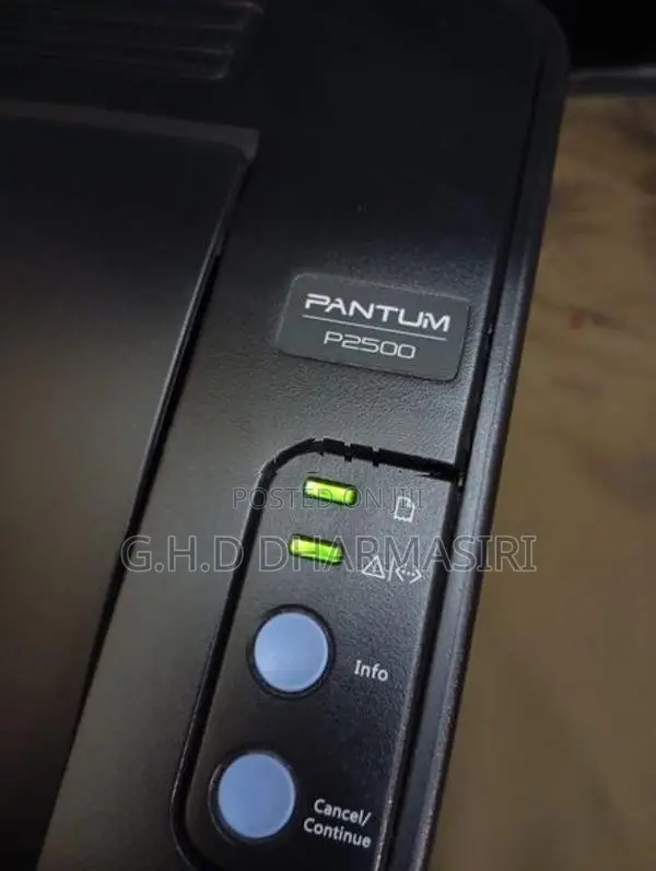 Printer Pantium P2500 laser