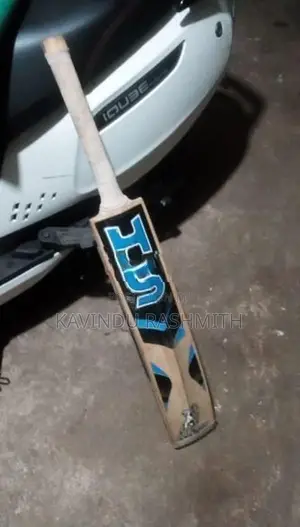 HS English Willow 3 Star Cricket Bat with Complete Batting Gear