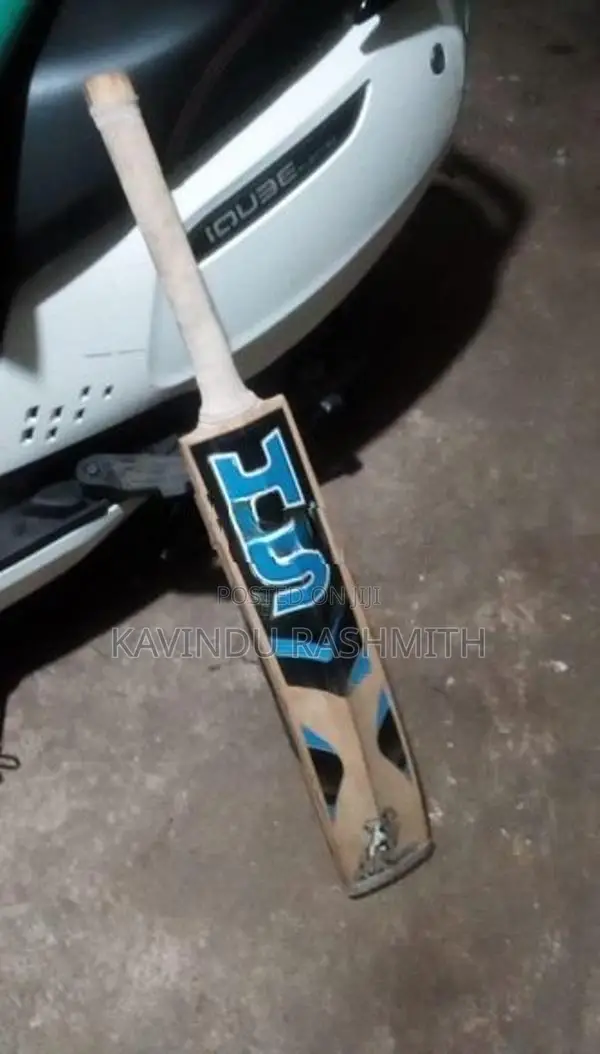 HS English Willow 3 Star Cricket Bat with Complete Batting Gear