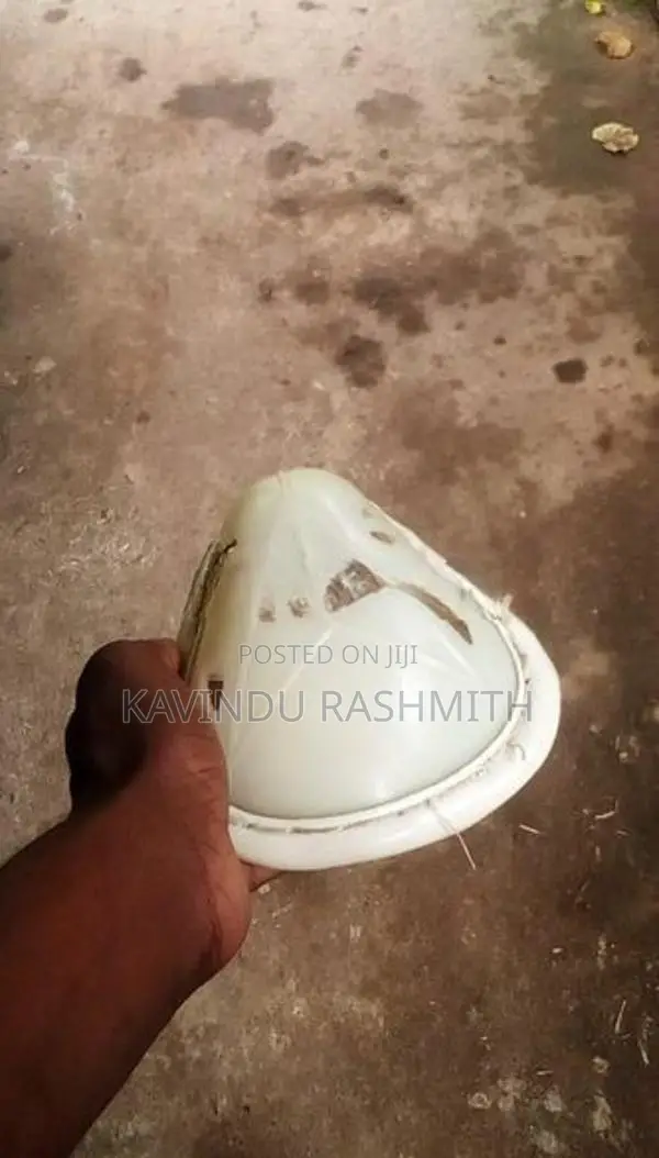 Cricket Equipment Set