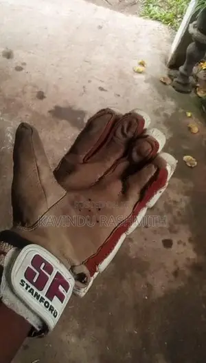 Cricket Equipment Set