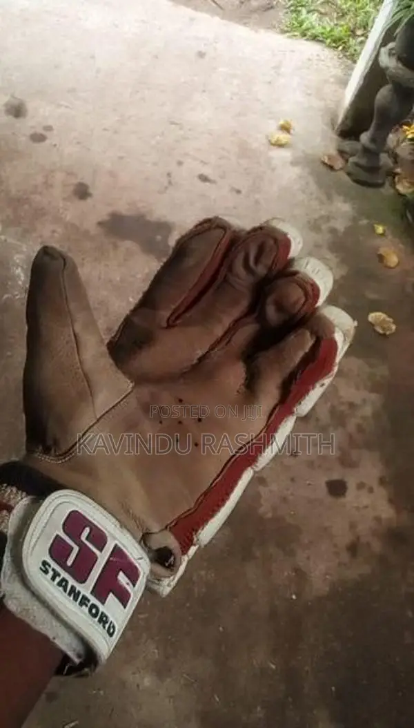 Cricket Equipment Set