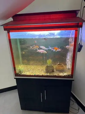 Fish Tank