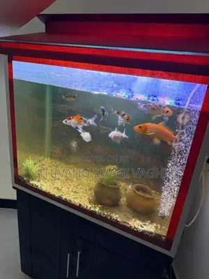 Fish Tank